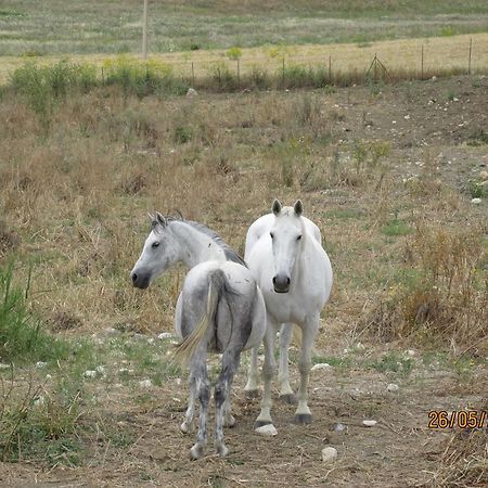Agriturismo Reggia Saracena Agrigento Dış mekan fotoğraf